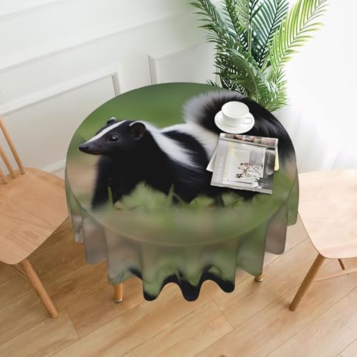 YYHWHJDE Runde dekorative Tischdecke, 152,4 cm, Stinktierbild, wasserdicht, waschbar und wiederverwendbar, für Essen, Kaffee, Picknick, Hochzeit, Party von YYHWHJDE