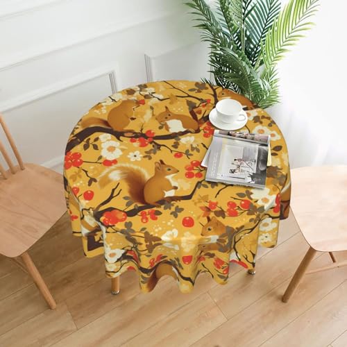 YYHWHJDE Runde dekorative Tischdecke mit Eichhörnchen im Baum-Druck, 152,4 cm: knitterfrei, kann gewaschen und wiederverwendet werden von YYHWHJDE