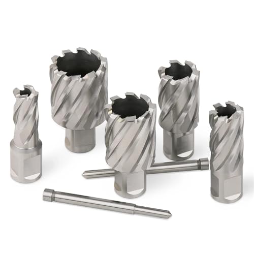 12-60 mm HSS-Ringschneider-Kernbohrer, 19 mm Weldon-Schaft, Hohllochsägenschneider for Schneiden von Metall, Stahl, Aluminium und Kupfer(50mmX25mm) von YYJOUPLM