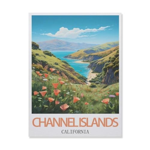 Malen Nach Zahlen Erwachsene，Channel Islands Kalifornien，Malen Nach Zahlen Mit Pinseln und Acrylfarbe,DIY Set Basteln Erwachsene mit Pinseln und Acrylfarben für Home Decor（50x60cm）19.6x23.6 Zoll-F87 von YYNFHCBS