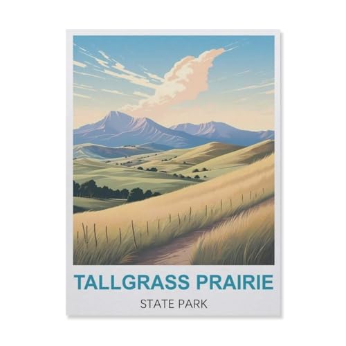 YYNFHCBS DIY 5d Diamantmalerei，Tallgrass Prairie State Park，Kreuzstich Volldiamant Kristall Strass Stickerei Bild Handwerk Handwerk Wanddekoration Geschenk（50 x 60 cm/19.68 x 23.62 Zoll）-D35 von YYNFHCBS