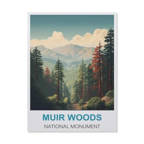 YYNFHCBS Diamond Painting，Muir Woods National Monument，Diamant Malerei Kunst Stickerei Kreuzstich Bilder Geschenk Wanddekoration（30 x 40 cm/11.81 x 15.74 Zoll）-C90 von YYNFHCBS