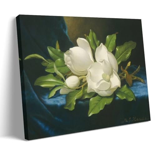 YYUEQIL Martin Johnson Head-Drucke riesige Magnolien auf blauem Samtstoff, 1890, Wandkunst, Leinwandbild, Wandkunst, dekorativer Bild, moderner Dekorrahmen, 30 x 45 cm YYUEQIL Martin Johnson Head-Drucke riesige Magnolien auf blauem Samtstoff, 1890, Wandkunst, Leinwandbild, Wandkunst, dekorativer Bild, moderner Dekorrahmen, 30 x 45 cm von YYUEQIL