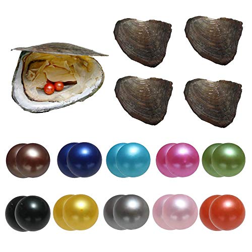 Zuchtperlen in Austern, Perlenaustern mit Zwillingsperlen im Inneren, Jubiläumsdekoration für Frauen, 10 Stück/Packung (7–8 mm) von YYW
