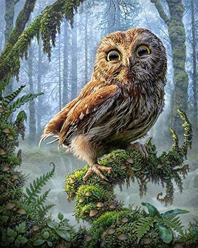 YZDKJ Kreuzstich-Stickerei-Kits 14CT Owl Tier Baum Baumwollfaden Malerei DIY Needlework DMC Neujahr Home Decor VS-0035 (Color : VS 0035, Size : 14CT) von YZDKJ