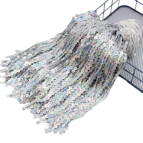 6 Yards 30 cm Pailletten Perlen Quaste Fransen Spitzenbesatz Latin Dance Performance Kleid Dekor DIY Handwerk Nähzubehör für DIY-Handarbeiten und Nähen(Sliver) von YZDKR