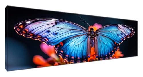 Diamond Painting Erwachsene Karikatur, Diamond Painting Schmetterling Full Drill Cross Stickerei Malerei Kits Groß XXL 240x80 cm, 5D DIY Diamant Malerei Kreativ Set für Erwachsene Zimmer Deko G2-227 Diamond Painting Erwachsene Karikatur, Diamond Painting Schmetterling Full Drill Cross Stickerei Malerei Kits Groß XXL 240x80 cm, 5D DIY Diamant Malerei Kreativ Set für Erwachsene Zimmer Deko G2-227 von Yagagse