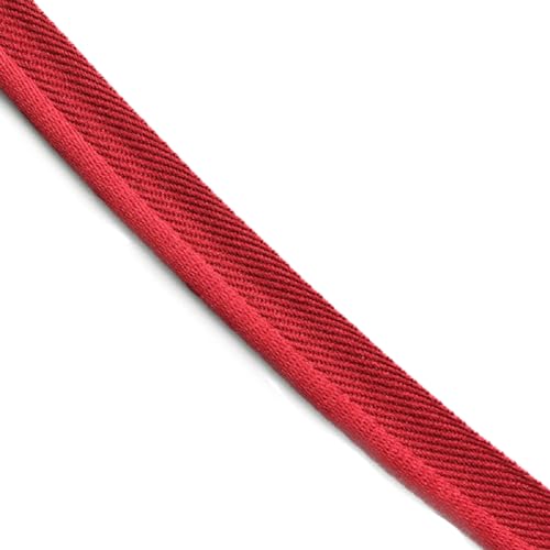 Yalulu 20 Yards Elastisch Paspelband Mit Kederschnur, Lippenkordel-Besatz Paspelband zum Nähen Für Gurtband, Kleidungsstück, Nähen, Trimmen, Polsterzubehör (Rot) von Yalulu