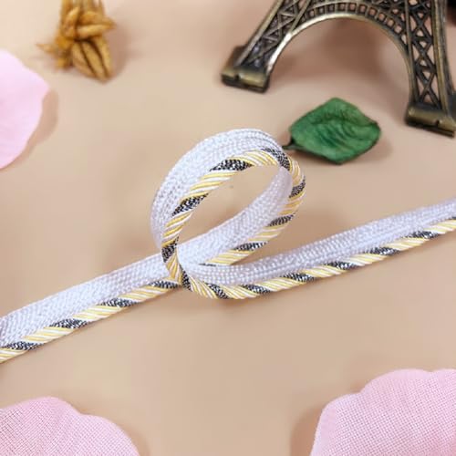 Yalulu 20 Yards Polyester Paspelband, 10mm breite Flaches Kordelrand-Paspelband Zum Nähen von Kleidern Und Kostümen Heimtextilien Dekoration (C) von Yalulu