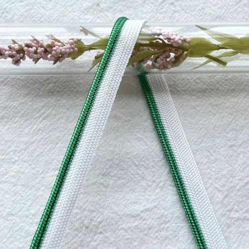 Yalulu 20 Yards Polyester Paspelband, 10mm breite Paspelband zum Nähen, Rand Nähen Band Bias Einfügen Piping Cord Seil für Tischdecken oder Kleidungsstücke (Grün) von Yalulu
