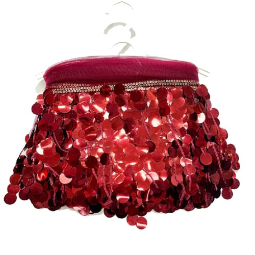 Yalulu 5 Yards Pailletten Quaste Schnittfranse Fransenborte, 17cm PVC-Fransenbesatz Zum Nähen Pailletten-Quaste Nähbesatz Für DIY-Handwerk, Aufführung, Kostüme Heimdekoration (Weinrot) von Yalulu