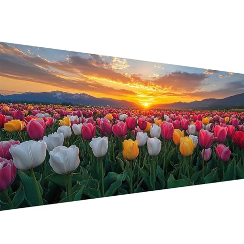 Diamond Painting Erwachsene Tulpe,Sonnenuntergang Diamant Painting Bilder 50x100cm,DIY Cross Stickerei Diamant Malerei Kits für Erwachsene und Kinder,Mosaikherstellung Bastelset für Wand Deko W1-324 Diamond Painting Erwachsene Tulpe,Sonnenuntergang Diamant Painting Bilder 50x100cm,DIY Cross Stickerei Diamant Malerei Kits für Erwachsene und Kinder,Mosaikherstellung Bastelset für Wand Deko W1-324 von Yanefaei