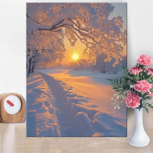 Malen Nach Zahlen Erwachsene Landschaft, Winter Malen Nach Zahlen 60x80cm Paint by Numbers DIY Handgemalt Ölgemälde Kit Mit Pinseln und Acrylfarbe Knitterfreie Leinwand für Wanddeko Geschenk W1-870 von Yanefaei