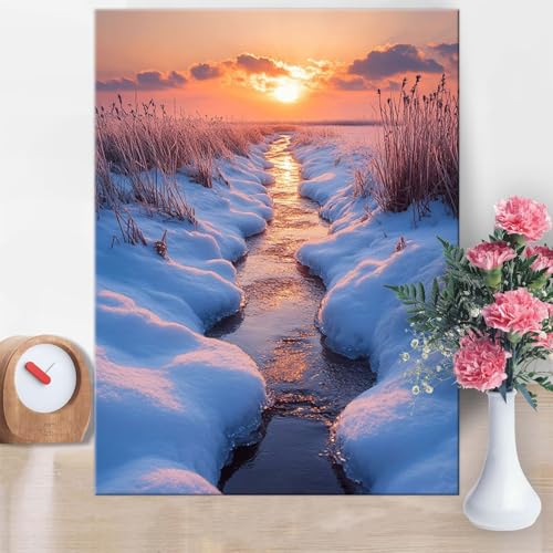 Malen Nach Zahlen Erwachsene Schilf,Malen Nach Zahlen Winter Paint by Numbers DIY Handgemalt Ölgemälde Kit Mit Pinseln und Acrylfarbe Knitterfreie Leinwand Kit für Wanddeko Geschenk 50x70cm W1-873 von Yanefaei
