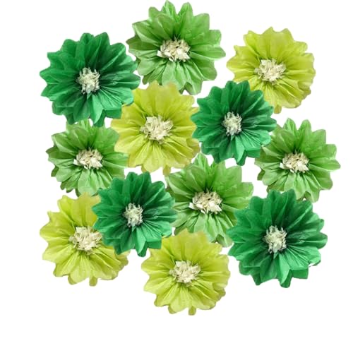 Papierblumen, 25,4 cm, 30,5 cm, Seidenpapier-Pompons, Wandhintergrund zum Aufhängen, für Hochzeit, Party, Geburtstag, Babyparty, Kinderzimmer, Dekoration, DIY Kunst, Handwerk, Blumen, Grün, 12 Stück Papierblumen, 25,4 cm, 30,5 cm, Seidenpapier-Pompons, Wandhintergrund zum Aufhängen, für Hochzeit, Party, Geburtstag, Babyparty, Kinderzimmer, Dekoration, DIY Kunst, Handwerk, Blumen, Grün, 12 Stück von Yangeey