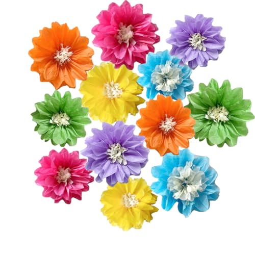 Pompons aus Seidenpapier, 25,4 cm, 30,5 cm, Party-Dekorationen, hängende Blumen für Hochzeit, Geburtstag, Babyparty, Kinderzimmer, Wanddekoration, Multi-2, 12 Stück Pompons aus Seidenpapier, 25,4 cm, 30,5 cm, Party-Dekorationen, hängende Blumen für Hochzeit, Geburtstag, Babyparty, Kinderzimmer, Wanddekoration, Multi-2, 12 Stück von Yangeey