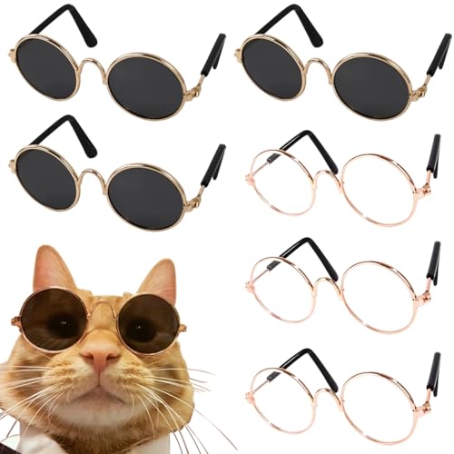 Yaoliucp Puppenbrillen 6 Paare Metalldrahtpuppe Sonnenbrille Klassische Retro -Brillen Brillen Brillen Mini Sonnenbrille für Handwerks Puppen Haustiere Kostüm Cosplay -Foto -Requisiten, Puppenbrillen Yaoliucp Puppenbrillen 6 Paare Metalldrahtpuppe Sonnenbrille Klassische Retro -Brillen Brillen Brillen Mini Sonnenbrille für Handwerks Puppen Haustiere Kostüm Cosplay -Foto -Requisiten, Puppenbrillen von Yaoliucp