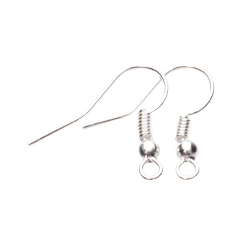 Yardenfun 200 Stück Teiliges Ohrringhaken Silber Hypoallergen Einfaches Design Nickelfreie DIY Ohrhaken für Damen Leicht Tragbar Robust für Alltag und Party Geeignet für Durchbohrte Ohren von Yardenfun