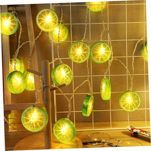 Yardenfun LED Lichterkette mit Slice Leds Batteriebetrieben für Balkon Terrasse Garten Party Camping Dekoration ohne Batterien von Yardenfun