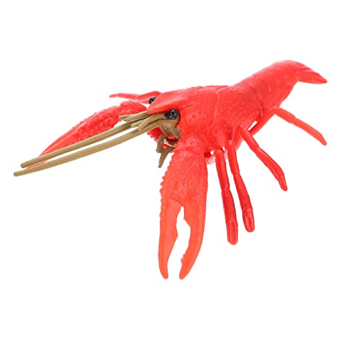 Yardwe Künstliches Hummer Lebensechte Hummerfigur Als Tischdekoration Perfektes Lernspielzeug Für Aquarien Farbvariante Yardwe Künstliches Hummer Lebensechte Hummerfigur Als Tischdekoration Perfektes Lernspielzeug Für Aquarien Farbvariante von Yardwe