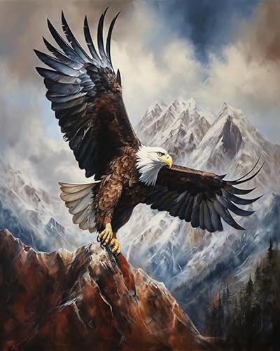 YarnAdventures Malen Nach Zahlen Für Erwachsene Anfänger,Tieradler auf dem Berg,Malen Nach Zahlen Kits DIY Acrylmalerei Für Erwachsene Kinde Kunsthandwerk,40x50cm ohne Rahmen YarnAdventures Malen Nach Zahlen Für Erwachsene Anfänger,Tieradler auf dem Berg,Malen Nach Zahlen Kits DIY Acrylmalerei Für Erwachsene Kinde Kunsthandwerk,40x50cm ohne Rahmen von YarnAdventures
