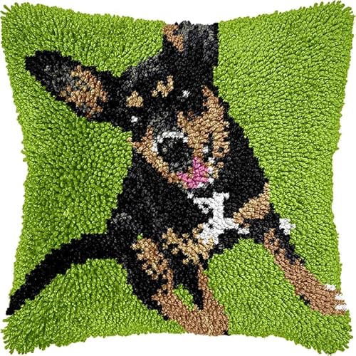 YarnAdventures Tier Hund Kissenbezug Knüpfset,Dackel auf dem Gras,Knüpfkissen Set,Knüpfteppich Zum Selber Knüpf-Sets,DIY Knüpfteppich Knüpfpackung,Latch Hook Kits,43x43cm von YarnAdventures