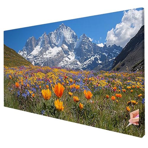 Diamond Painting Erwachsene Groß XXL 80x30cm Diamant Painting Bilder Landschaft Bastelset Erwachsene DIY Berg Diamond Art Set 5D Diamant Malerei Strasssteine Kreuzstich Set für Weihnachtsdeko S-62 von Yarqzhng