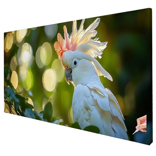 Diamond Painting Papagei 250x100cm Diamond Painting Erwachsene Groß XXL Tier Set DIY Diamant Malerei Kreativ Set für Erwachsene 5D Diamant Kunst Stickerei für Geschenke für Frauen Halloween Deko S-93 von Yarqzhng