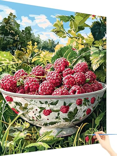 Malen Nach Zahlen Erwachsene Anlage Malen Nach Zahlen Kinder Obst, Paint by Numbers Bastelset Erwachsene, Cheerful Painting Kreativ Set Geschenke für Frauen Deko Wohnzimmer Ohne Rahmen 80x110cm J-55 von Yarqzhng