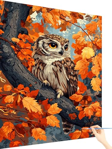 Malen Nach Zahlen Erwachsene Eule Paint by Numbers Baum, Malen Nach Zahlen ab 7 Jahre Mädchen, Handgemalt Ölgemälde Leinwand mit Pinseln Acrylfarben Geschenke für Frauen Deko Ohne Rahmen 40x50cm K-81 Malen Nach Zahlen Erwachsene Eule Paint by Numbers Baum, Malen Nach Zahlen ab 7 Jahre Mädchen, Handgemalt Ölgemälde Leinwand mit Pinseln Acrylfarben Geschenke für Frauen Deko Ohne Rahmen 40x50cm K-81 von Yarqzhng