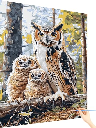 Malen Nach Zahlen Erwachsene Eule Paint by Numbers Baum, Malen Nach Zahlen ab 7 Jahre Mädchen, Handgemalt Ölgemälde Leinwand mit Pinseln und Acrylfarben Geschenke für Frauen Ohne Rahmen 80x110cm D-53 von Yarqzhng