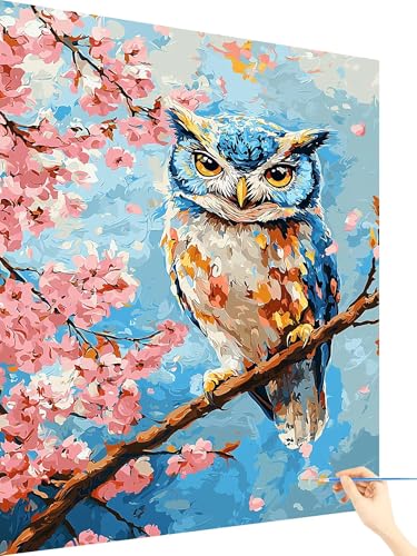 Malen Nach Zahlen Erwachsene Eule Paint by Numbers Blume, Malen Nach Zahlen ab 7 Jahre Mädchen, Handgemalt Ölgemälde Leinwand mit Pinseln und Acrylfarben Geschenke für Frauen Ohne Rahmen 20x30cm H-21 von Yarqzhng