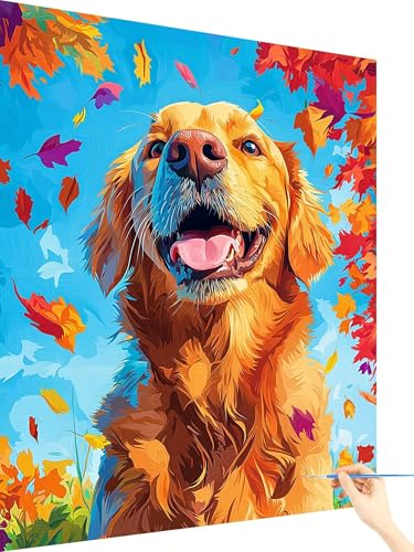 Malen Nach Zahlen Erwachsene Hund Paint by Numbers Tier, Malen Nach Zahlen ab 7 Jahre Mädchen, Handgemalt Ölgemälde Leinwand mit Pinseln Acrylfarben Geschenke für Frauen Deko Ohne Rahmen 70x90cm W-9 Malen Nach Zahlen Erwachsene Hund Paint by Numbers Tier, Malen Nach Zahlen ab 7 Jahre Mädchen, Handgemalt Ölgemälde Leinwand mit Pinseln Acrylfarben Geschenke für Frauen Deko Ohne Rahmen 70x90cm W-9 von Yarqzhng