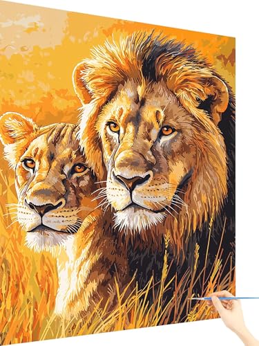 Malen Nach Zahlen Erwachsene LöWe Paint by Numbers Tier, Malen Nach Zahlen ab 7 Jahre Mädchen, Handgemalt Ölgemälde Leinwand mit Pinseln Acrylfarben Geschenke für Frauen Deko Ohne Rahmen 50x70cm Q-89 Malen Nach Zahlen Erwachsene LöWe Paint by Numbers Tier, Malen Nach Zahlen ab 7 Jahre Mädchen, Handgemalt Ölgemälde Leinwand mit Pinseln Acrylfarben Geschenke für Frauen Deko Ohne Rahmen 50x70cm Q-89 von Yarqzhng