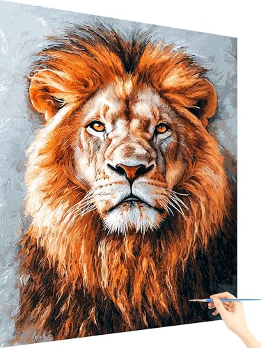 Malen Nach Zahlen Erwachsene LöWe Paint by Numbers Tier, Malen Nach Zahlen ab 7 Jahre Mädchen, Handgemalt Ölgemälde Leinwand mit Pinseln Acrylfarben Geschenke für Frauen Deko Ohne Rahmen 60x80cm L-55 von Yarqzhng