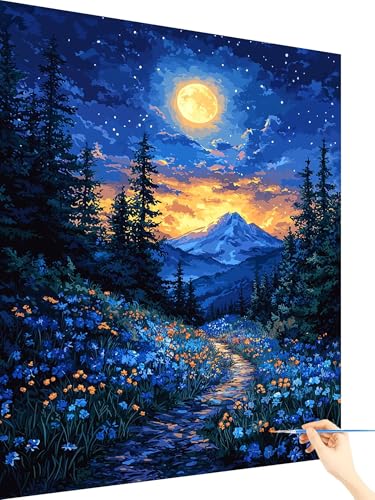 Malen Nach Zahlen Erwachsene Mond Paint by Numbers Sternenhimmel, Malen Nach Zahlen ab 7 Jahre Mädchen, Handgemalt Ölgemälde Leinwand mit Pinseln und Acrylfarben Geschenke für Frauen Deko 80x110cm G-2 von Yarqzhng