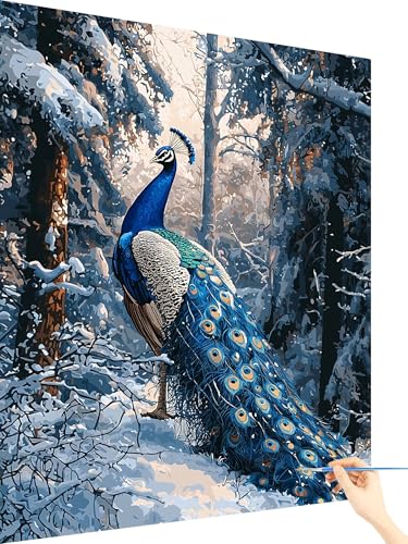 Malen Nach Zahlen Erwachsene Pfau Paint by Numbers Schnee, Malen Nach Zahlen ab 7 Jahre Mädchen, Handgemalt Ölgemälde Leinwand mit Pinseln und Acrylfarben Geschenke für Frauen Ohne Rahmen 60x80cm X-19 von Yarqzhng
