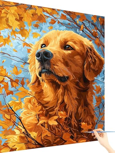 Malen Nach Zahlen Erwachsene Tier Paint by Numbers Hund, Malen Nach Zahlen ab 7 Jahre Mädchen, Handgemalt Ölgemälde Leinwand mit Pinseln Acrylfarben Geschenke für Frauen Deko Ohne Rahmen 70x90cm O-54 von Yarqzhng