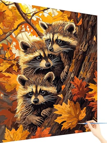 Malen Nach Zahlen Erwachsene Tier Paint by Numbers WaschbäR, Malen Nach Zahlen ab 7 Jahre Mädchen, Handgemalt Ölgemälde Leinwand mit Pinseln Acrylfarben Geschenke für Frauen Ohne Rahmen 60x80cm C-99 von Yarqzhng