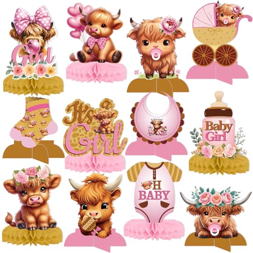 Hochlandkuh Babyparty-Dekorationen – Hochlandkuh, Party-Dekorationen, Kuh, Babyparty-Dekorationen, Heilige Kuh, Babyparty-Dekorationen von Yavxzvbw