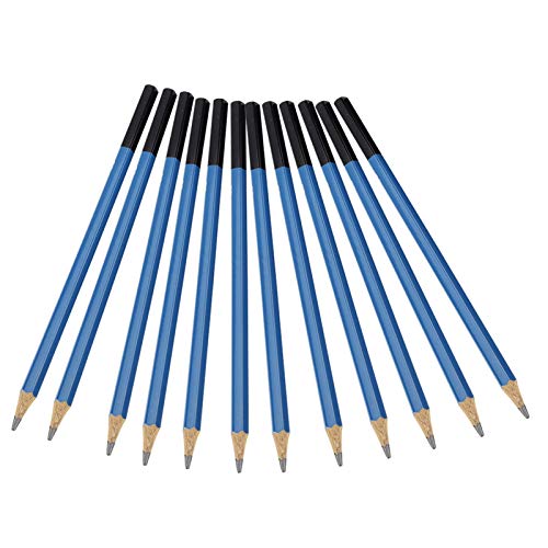 Yctze 32pcs Professionelles Zeichnungsstifte Kit mit 12 Skizzierstiften, Radiergummi und Tragetasche für Künstler und Anfänger von Yctze