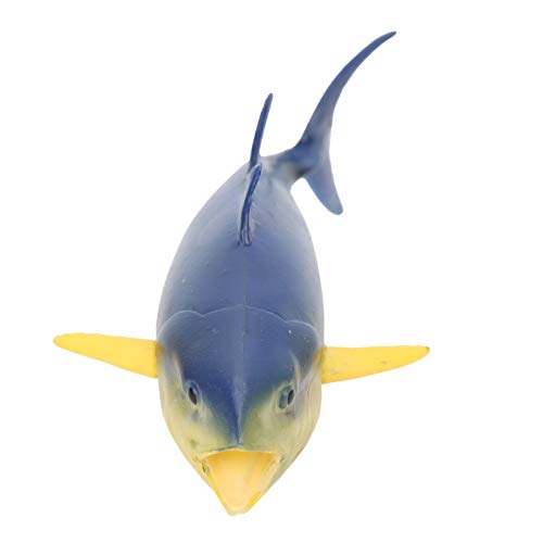 Yctze Simulierte Meereslebenstiere Figuren Ozean Meerestier Lernmodell Seefisch Spielzeug für Kind Toddle für Meerestiersammlung Tiermodell Seefisch Spielzeug für C von Yctze