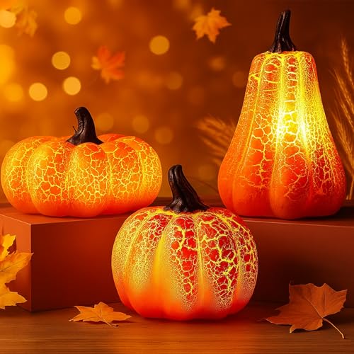 Herbstdeko Kürbis Deko,3 Stück Herbst Deko Kürbis Laterne,Dekor Led-Kürbislampe,Kürbislaterne Beleuchtet,Herbst Dekoration Tischdeko,Herbst Dekoration Licht Fur Tischdeko,Halloween Party Herbstdeko Kürbis Deko,3 Stück Herbst Deko Kürbis Laterne,Dekor Led-Kürbislampe,Kürbislaterne Beleuchtet,Herbst Dekoration Tischdeko,Herbst Dekoration Licht Fur Tischdeko,Halloween Party von YeahBoom