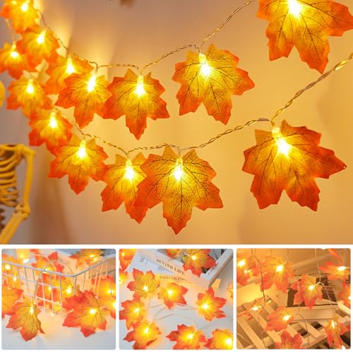 Lichterkette Herbst,1.5M 10LED Ahornblatt Girlande Lichterketten,LED Maple Leaf Lichterkette Batteriebetrieben,Halloween Lichterketten,für Herbstdeko Erntedankfest Halloween Party Innen Außen Deko Lichterkette Herbst,1.5M 10LED Ahornblatt Girlande Lichterketten,LED Maple Leaf Lichterkette Batteriebetrieben,Halloween Lichterketten,für Herbstdeko Erntedankfest Halloween Party Innen Außen Deko von YeahBoom
