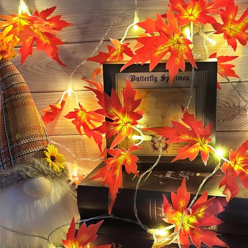 Lichterkette Herbst,300CM 20LED Ahornblatt Girlande Lichterketten,LED Maple Leaf Lichterkette Batteriebetrieben,Halloween Lichterketten,für Herbstdeko Erntedankfest Halloween Party Innen Außen Deko Lichterkette Herbst,300CM 20LED Ahornblatt Girlande Lichterketten,LED Maple Leaf Lichterkette Batteriebetrieben,Halloween Lichterketten,für Herbstdeko Erntedankfest Halloween Party Innen Außen Deko von YeahBoom