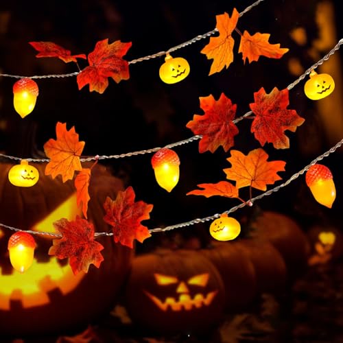 YeahBoom Herbst Lichterkette,1.5M 10LED Ahornblätter Lichterketten,Batteriebetrieben,Kürbis Ahornblätter Eichel,Herbst Ahornblatt Kürbisse Lichterkette für Innen Außen Erntedankfest Halloween Deko YeahBoom Herbst Lichterkette,1.5M 10LED Ahornblätter Lichterketten,Batteriebetrieben,Kürbis Ahornblätter Eichel,Herbst Ahornblatt Kürbisse Lichterkette für Innen Außen Erntedankfest Halloween Deko von YeahBoom