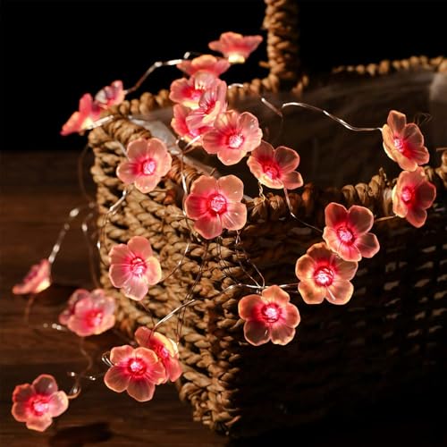 YeahBoom Kirschblüten Lichterkette,5M 50LED Sakura Lichterkette Batteriebetrieben,Frühling Deko für Innen und Außen,Blüten Lichterkette Deko für Kinderzimmer Garten Balkon Valentinstag Hochzeit Party YeahBoom Kirschblüten Lichterkette,5M 50LED Sakura Lichterkette Batteriebetrieben,Frühling Deko für Innen und Außen,Blüten Lichterkette Deko für Kinderzimmer Garten Balkon Valentinstag Hochzeit Party von YeahBoom