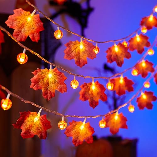YeahBoom Lichterkette Herbst,1.5M 10LED Ahornblätter Kürbis Lichterketten,LED Maple Leaf Lichterkette Batteriebetrieben,Halloween Kürbis Lichterketten,für Herbstdeko Erntedankfest Halloween Party YeahBoom Lichterkette Herbst,1.5M 10LED Ahornblätter Kürbis Lichterketten,LED Maple Leaf Lichterkette Batteriebetrieben,Halloween Kürbis Lichterketten,für Herbstdeko Erntedankfest Halloween Party von YeahBoom