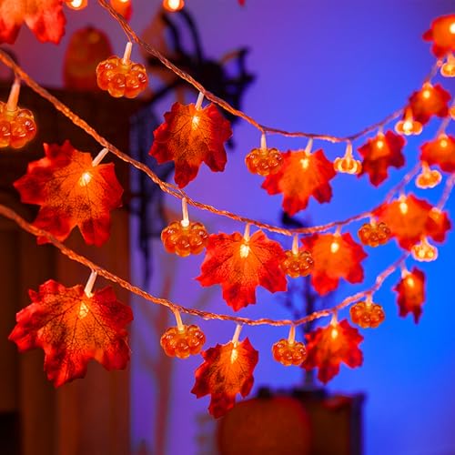 YeahBoom Lichterkette Herbst,300CM 20LED Ahornblätter Kürbis Lichterketten,LED Maple Leaf Lichterkette Batteriebetrieben,Halloween Kürbis Lichterketten,für Herbstdeko Erntedankfest Halloween Party YeahBoom Lichterkette Herbst,300CM 20LED Ahornblätter Kürbis Lichterketten,LED Maple Leaf Lichterkette Batteriebetrieben,Halloween Kürbis Lichterketten,für Herbstdeko Erntedankfest Halloween Party von YeahBoom
