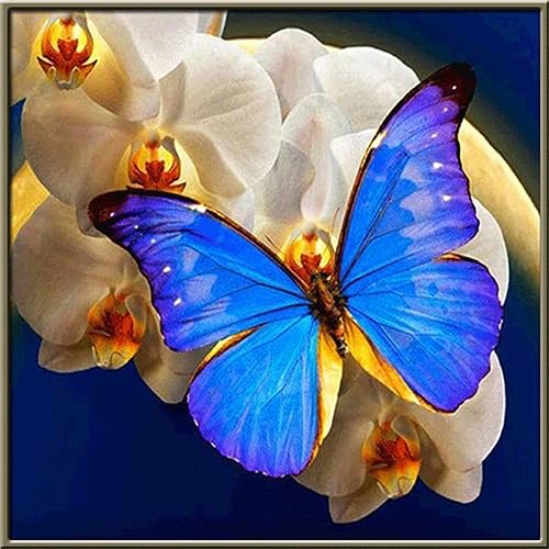 DIY Diamond Painting,Blauer Schmetterling Orchidee 5D Adult Kinder Diamant Painting Bilder Kits,Full Strass Stickerei Kreuzstich Leinwand Diamant Malerei Kunsthandwerk für Home Wall Decor 30x30cm von Yeecer